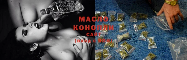 молекула духа Пестово