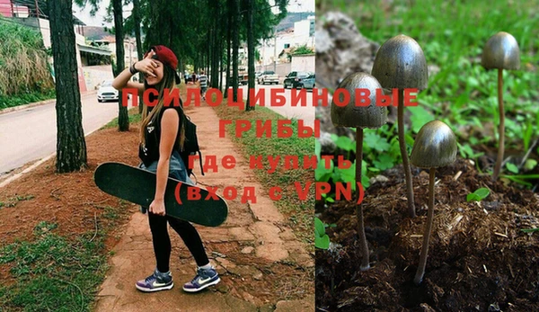 бошки Покров
