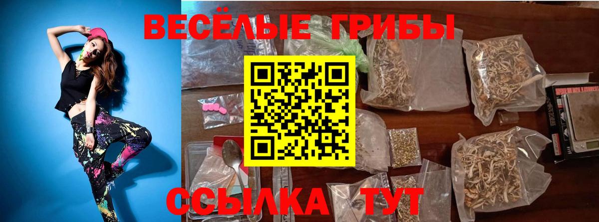 Галлюциногенные грибы Psilocybine cubensis  Вход с VPN  Ярцево 